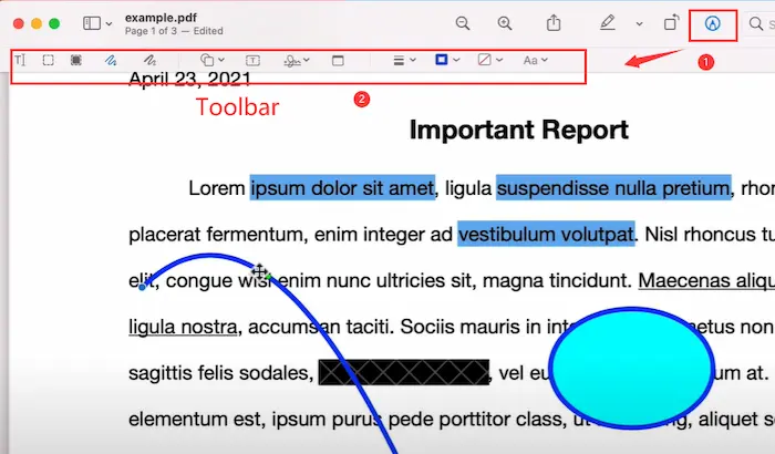 how to take notes on a PDF in preview