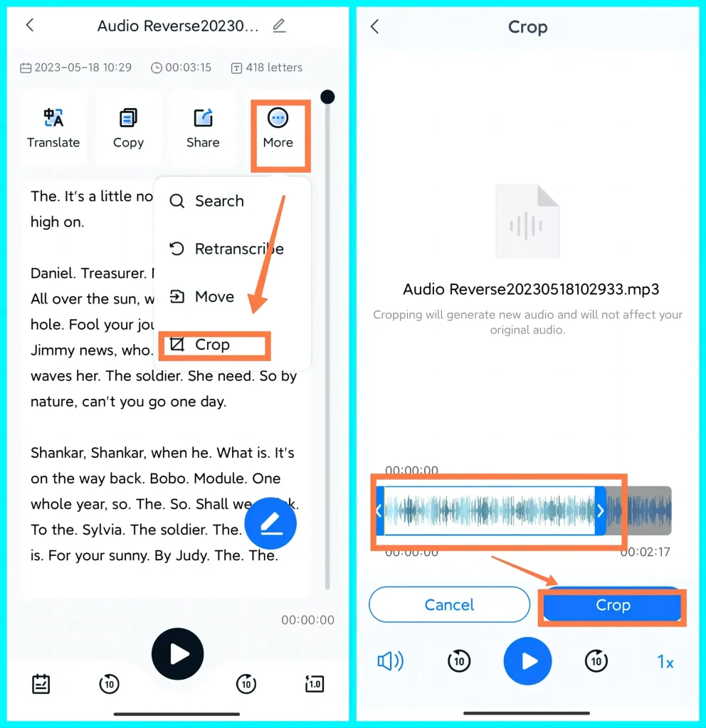 edit revered audio in workintool transvoice