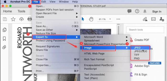 insert pdf into word as image