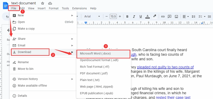 insert pdf into word using google docs