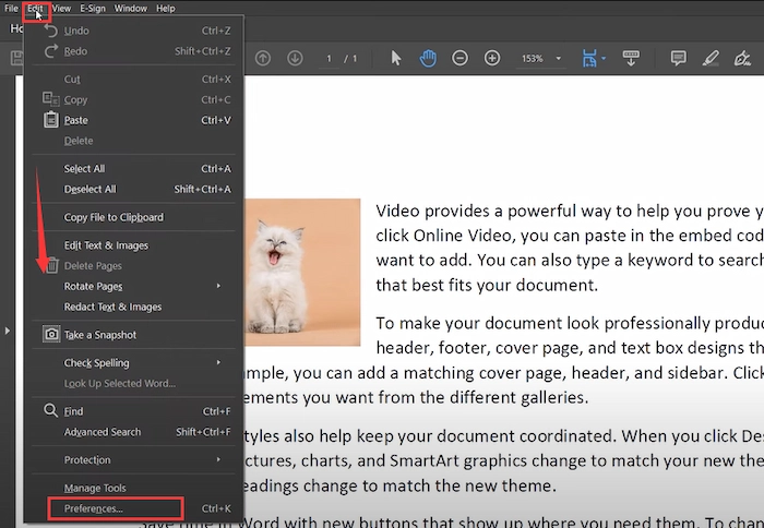 select preferences in adobe