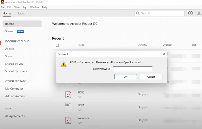 result of password protected pdf in adobe
