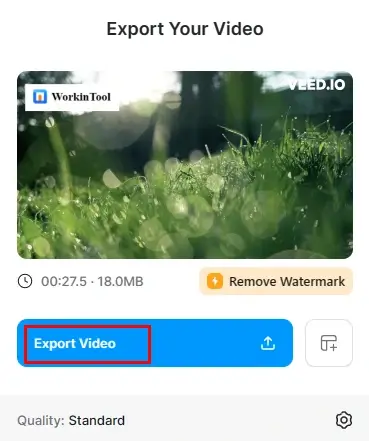 export video from veed io