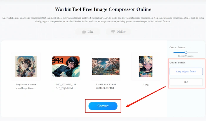 How to Make GIFs Smaller on Desktop and Online FREE - WorkinTool