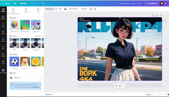 best watermark remover app canva