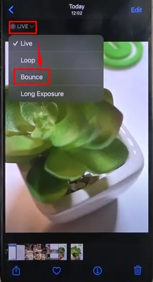 how to make a boomerang video in iphone