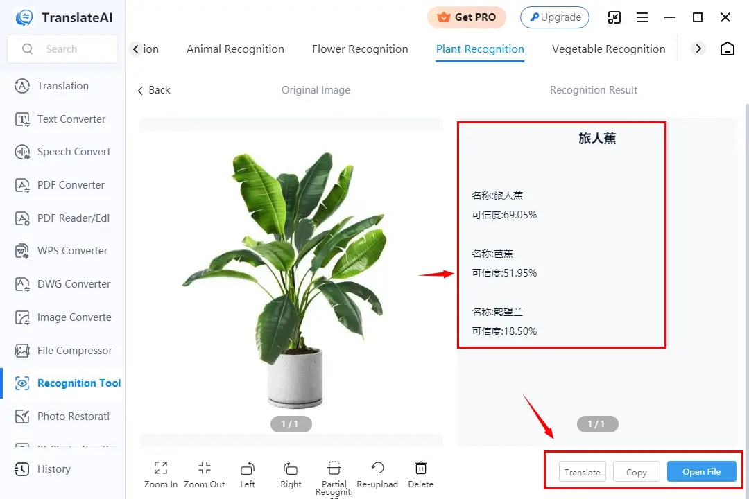 how to identify a plant from a picture in workintool translateai 4