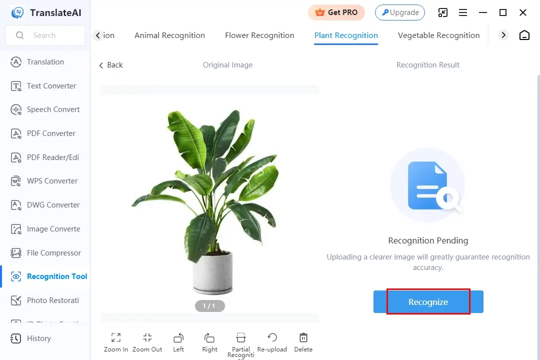 how to identify a plant from a picture in workintool translateai app 3