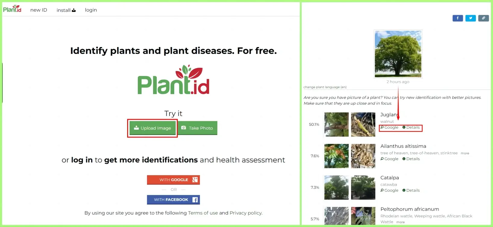 how to identify a plant from a picture online in planet id