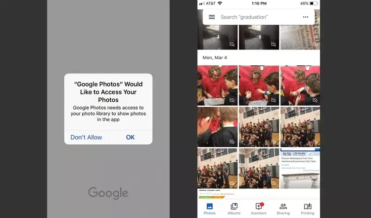 how to identify a plat from a picture on iphone with google photos 1