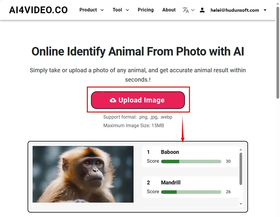 how to identify an animal from a picture in ai4video identify animal