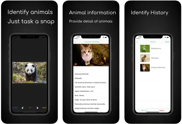 how to identify an animal from a picture in ianimal
