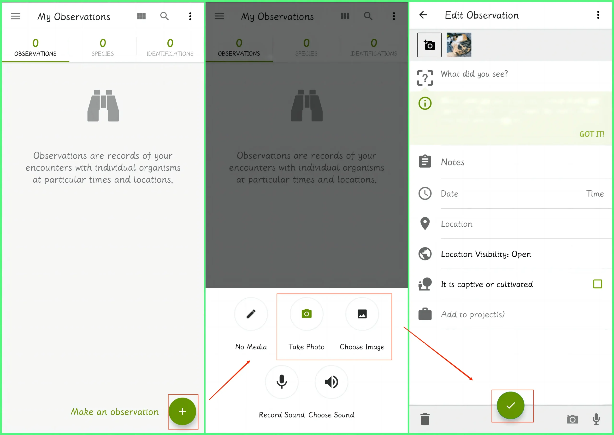 how to identify an animal from a picture in inaturalist