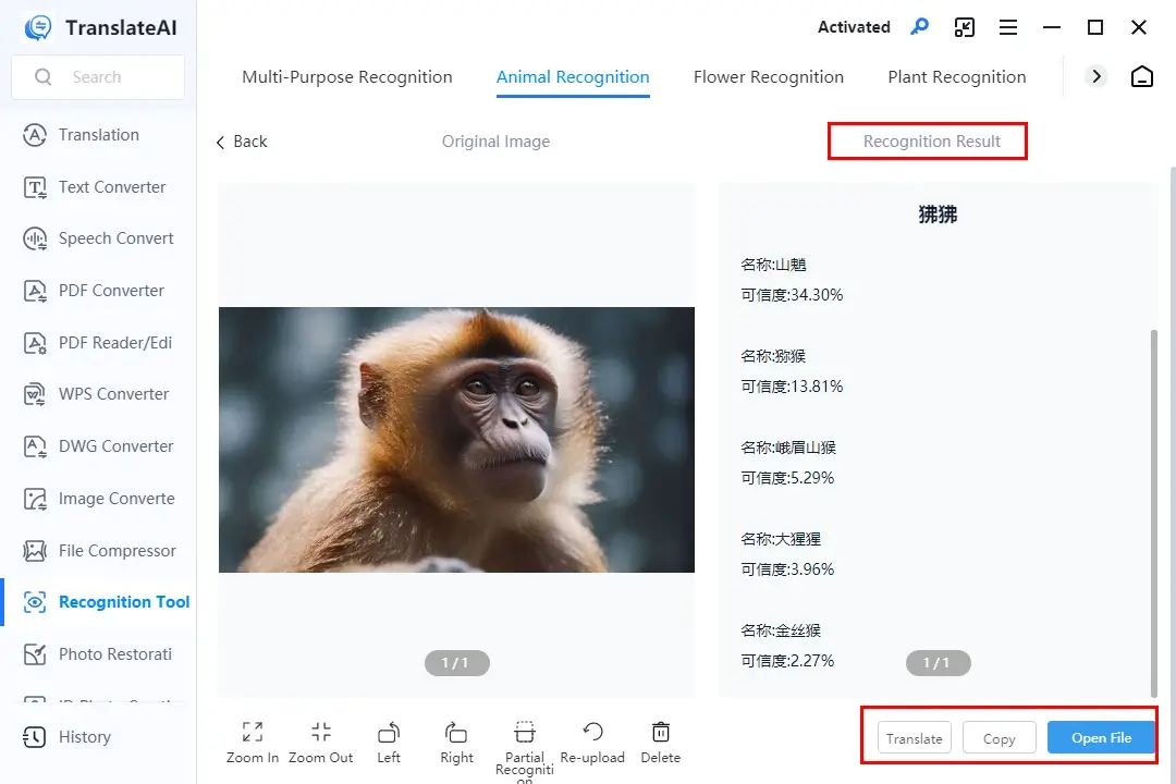 how to identify an animal from a picture in workintool translateai 2