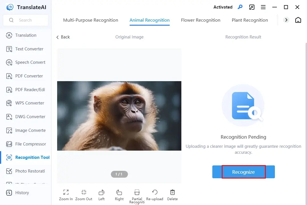 how to identify an animal from a picture in workintool translateai