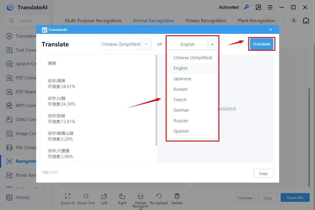 translate result in workintool translateai