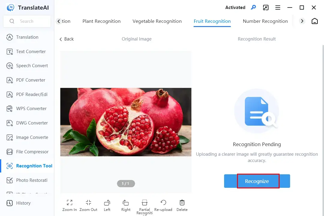 how to identify a fruit from a picture on pc with workintool translateai