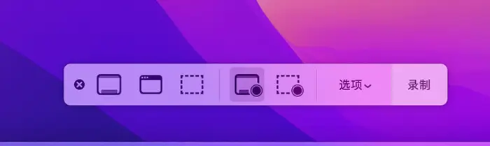 Using the Screenshot Toolbar