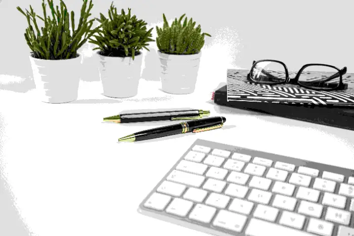 How to Insert Watermark in PDF