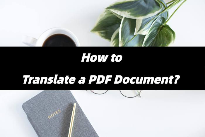 a-guide-to-translate-a-pdf-document-boosting-precision