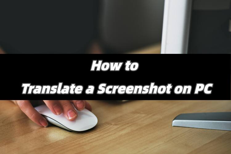 How to translate a screenshot on PC